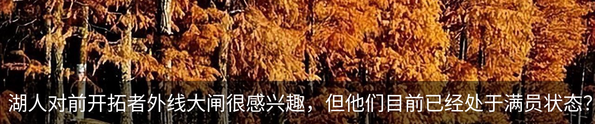 行业资讯