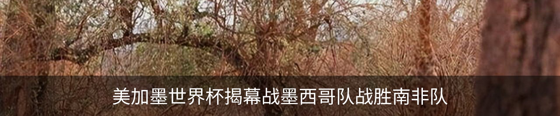 行业资讯