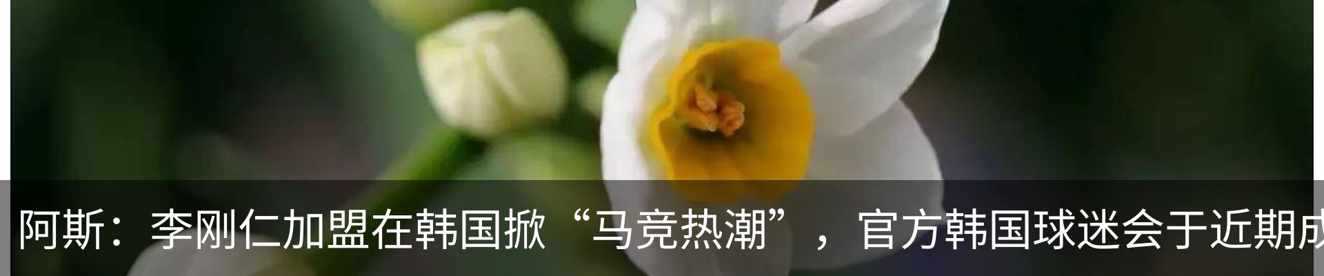 行业资讯